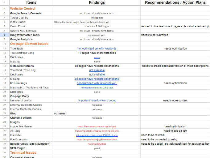 Website audit