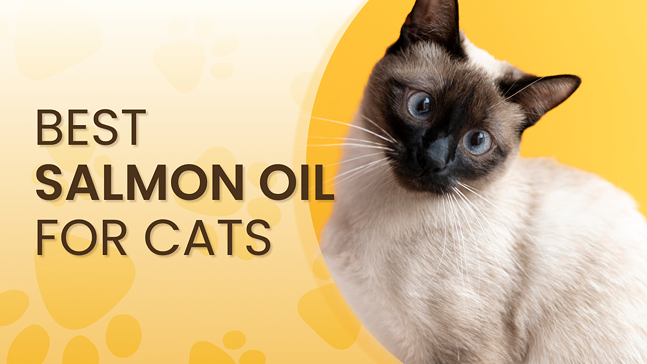 salmon-oil-for-cats