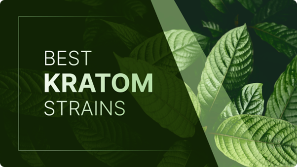 Best-Kratom-Strains