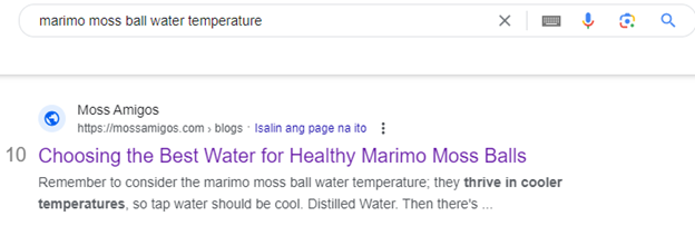 marimo-moss-ball-water-temperature