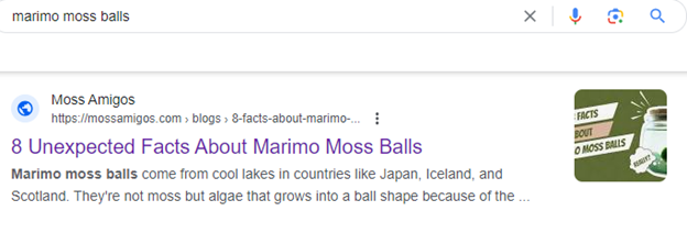 marimo moss balls.